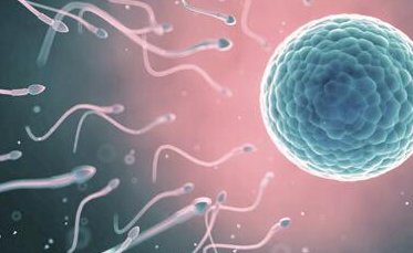 遵义市妇幼保健院做三代试管成功率如何？一文读懂需要花多少钱