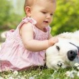 泰国暹罗医院做试管婴儿怎么样？