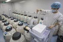 详细解读启东市做长方案试管婴儿费用，长方案和短方案成功率有差别吗？