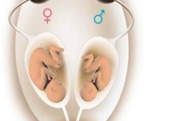 广州如何到SCRC做试管？这里有一套完整的赴美流程指南